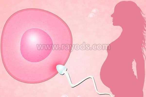 代妈_三代试管助孕包男孩,试管婴儿有哪几种移植的胚胎？哪种成功率最高?-供