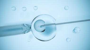 供卵生子感觉_高龄试管婴儿供卵_多个美国试管促排周期，对卵巢的伤害大吗？